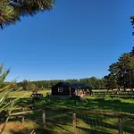 Holiday home 't Edelhert