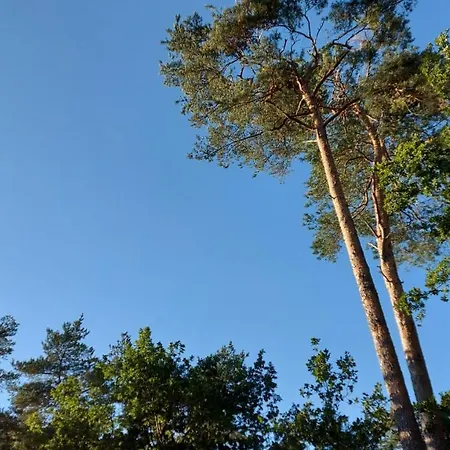 Vakantiehuis 't Edelhert