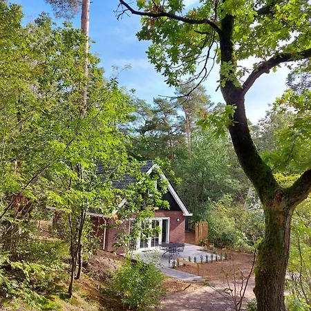 't Edelhert 넌스피트