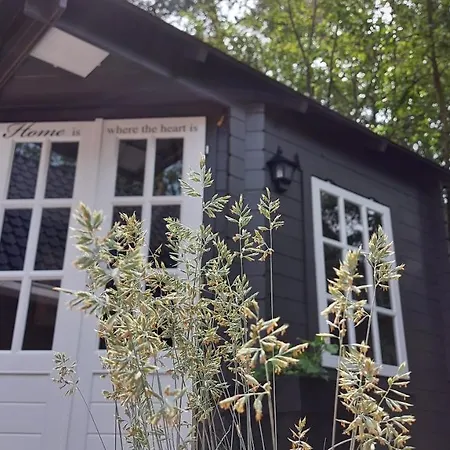 't Edelhert 넌스피트