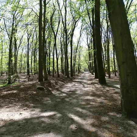 't Edelhert * Nunspeet