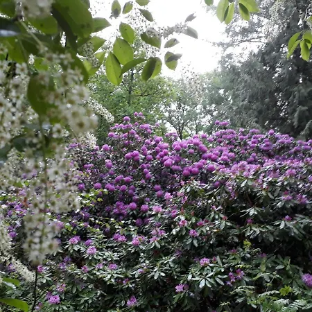 Feriehus 't Edelhert Nunspeet