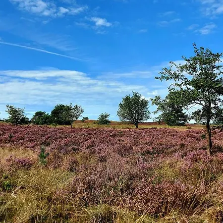 't Edelhert Feriehus Nunspeet