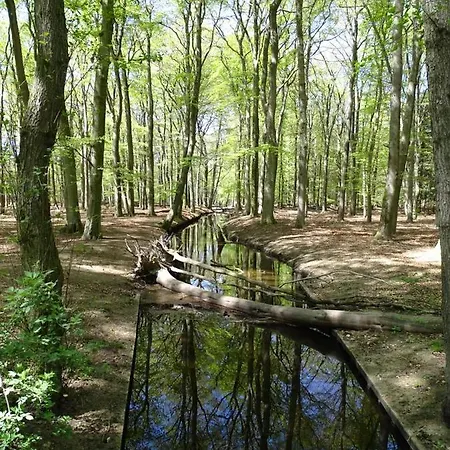 Feriehus 't Edelhert Nunspeet