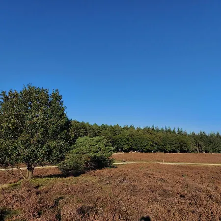 't Edelhert Feriehus *