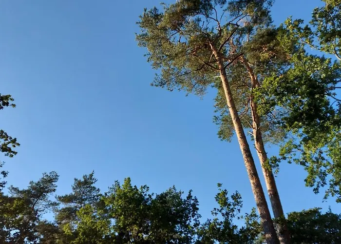 Feriehus 't Edelhert