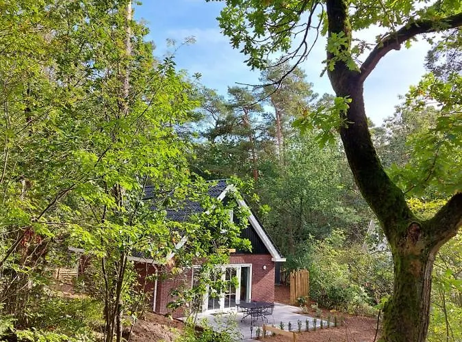 't Edelhert Nunspeet