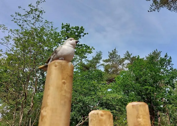 't Edelhert Prázdninový dům