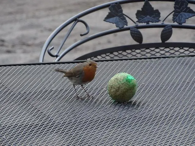 't Edelhert Dom wakacyjny *