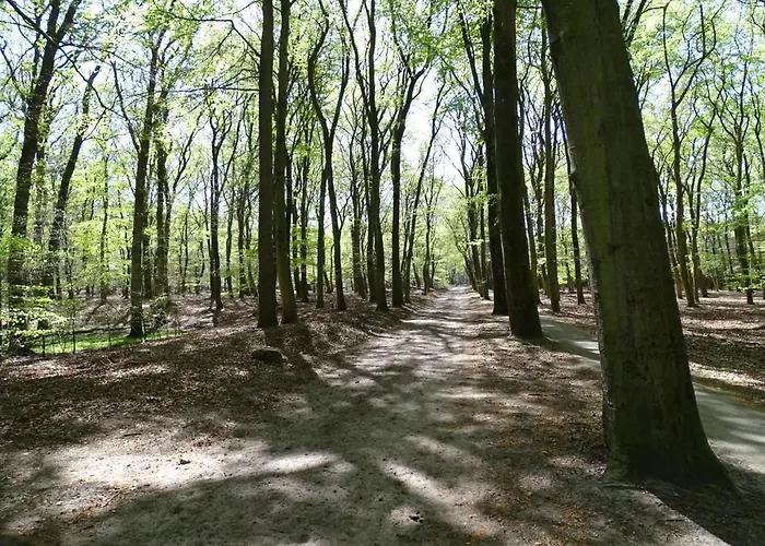 't Edelhert * Nunspeet