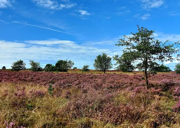 't Edelhert Prázdninový dům Nunspeet