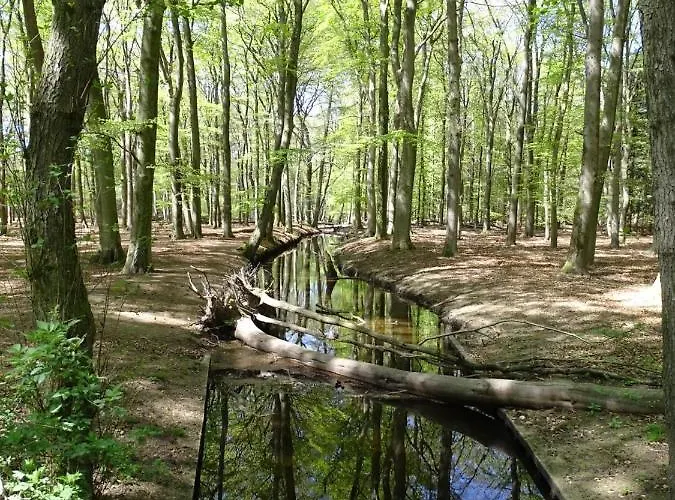 Feriehus 't Edelhert Nunspeet