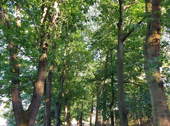 't Edelhert Dom wakacyjny Nunspeet