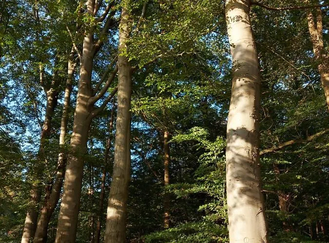 Feriehus 't Edelhert