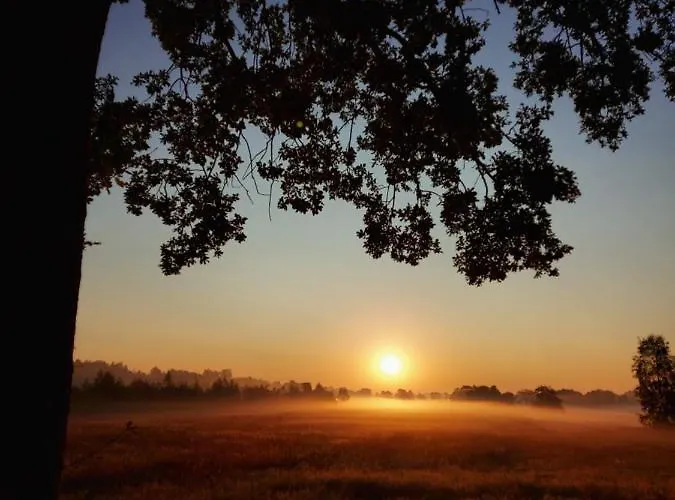 Dom wakacyjny 't Edelhert