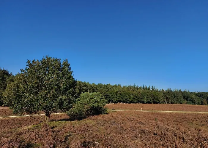 't Edelhert Сasa de vacaciones *