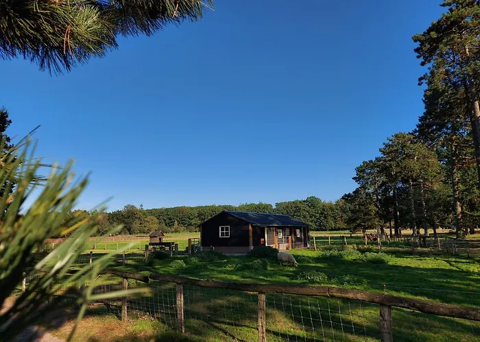 Dom wakacyjny 't Edelhert