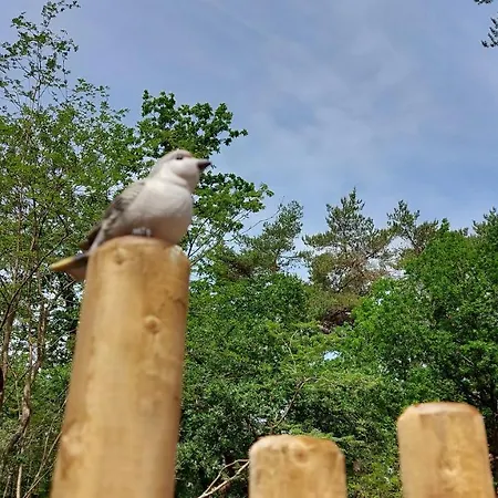 't Edelhert Tatil Evi