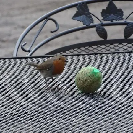 't Edelhert Tatil Evi *