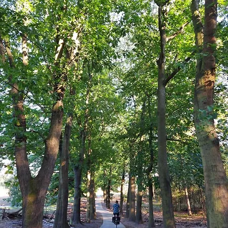 't Edelhert Tatil Evi Nunspeet