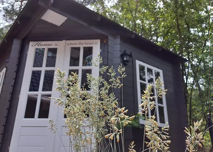 't Edelhert Nunspeet