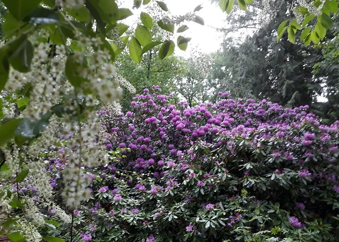 Semesterbostad 't Edelhert Nunspeet